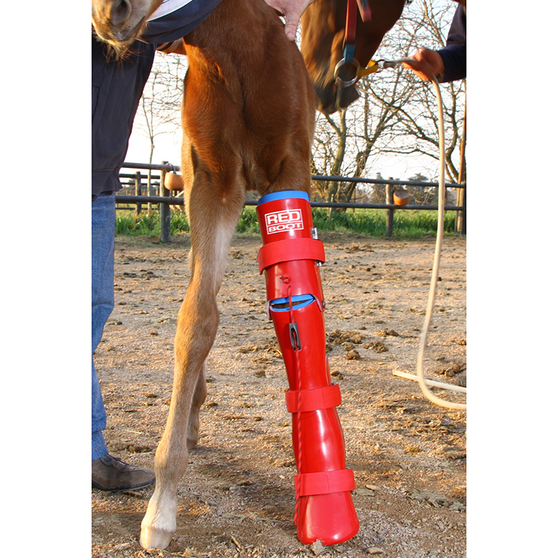 Ortesis correctora articulada REDBOOT® - Imagen 2