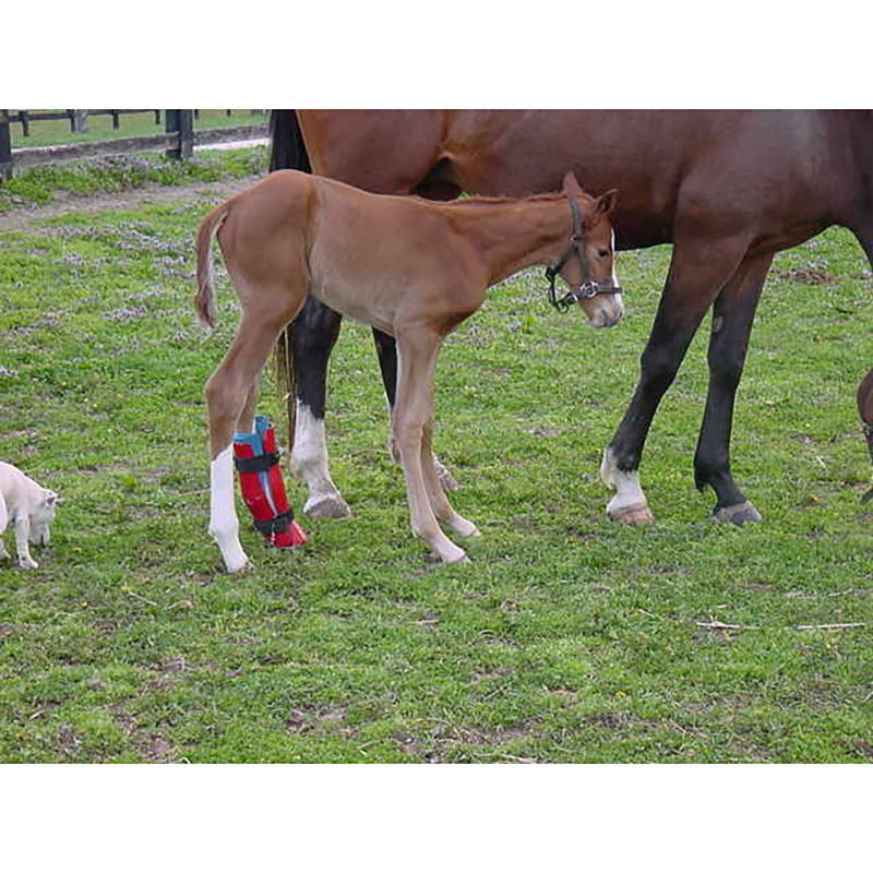 REDBOOT® Corrective Foal Boot - Image 6