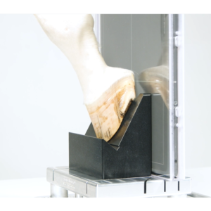 Horse Hoof Positioning Block