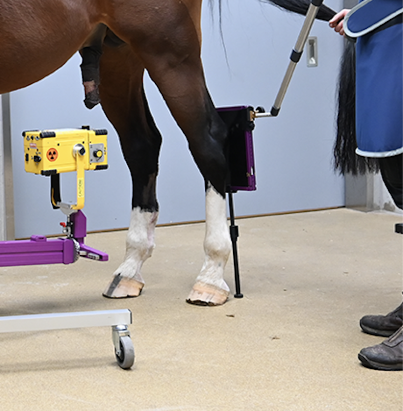 Podoblock DR-Quadro detector holder