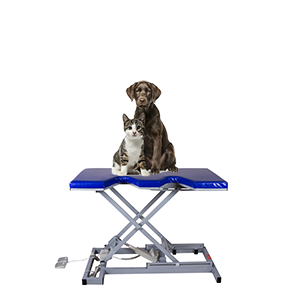 Ultrasound Solutions