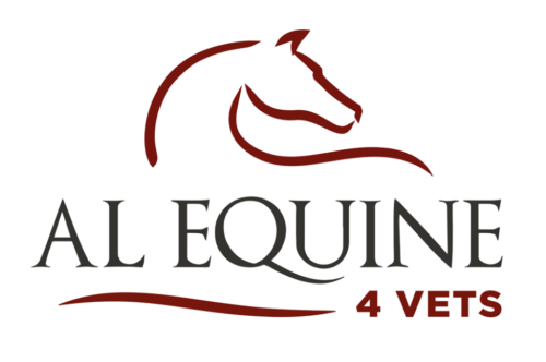 Al Equine: 2021 Locomotor Courses