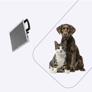 DR Flatpanel Solutions
