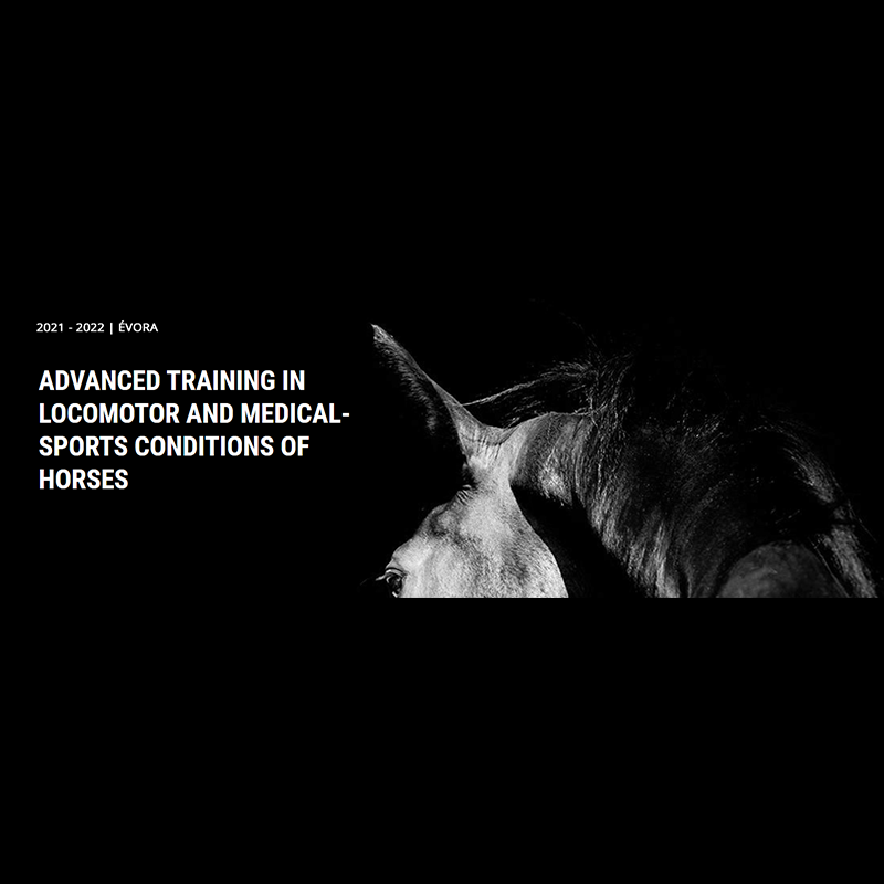 Cardiovascular conditions of the sports horses