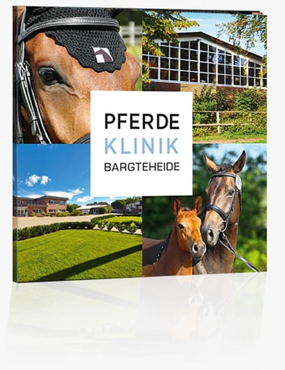 Bargteheide Imaging Day