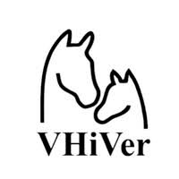 ISELP VHiVer