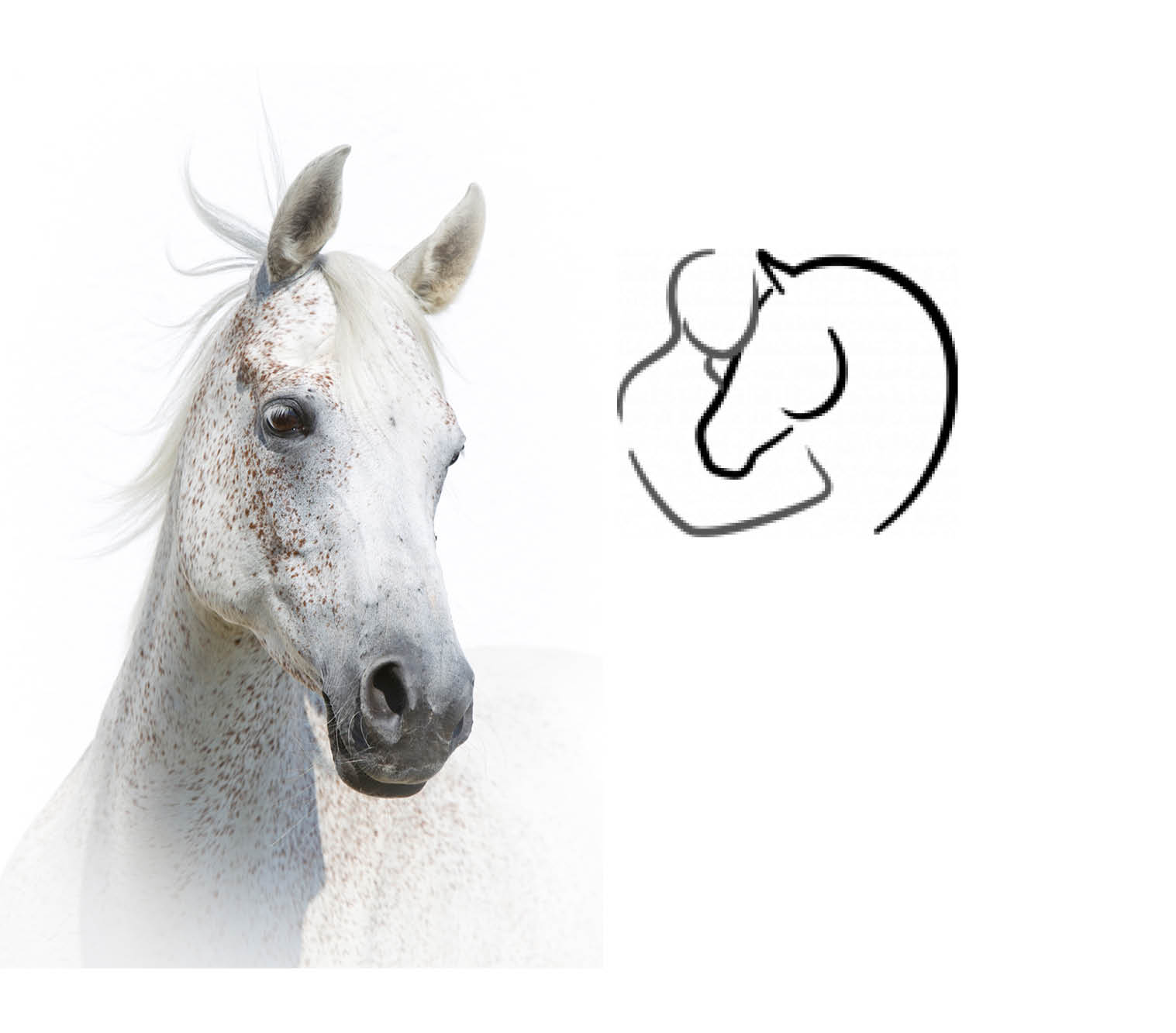 Equitana 2025