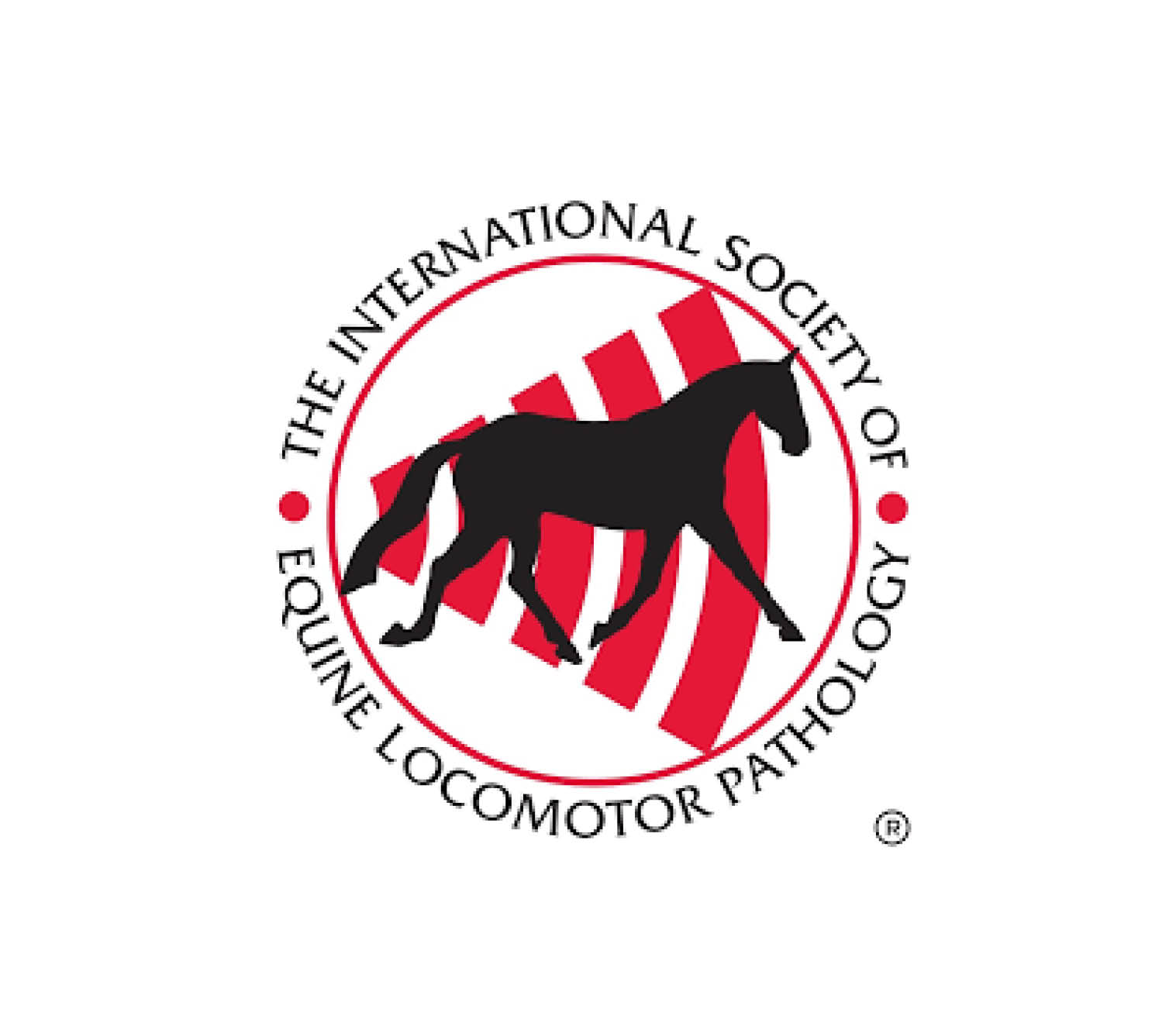 ISELP – The Foot & Pastern