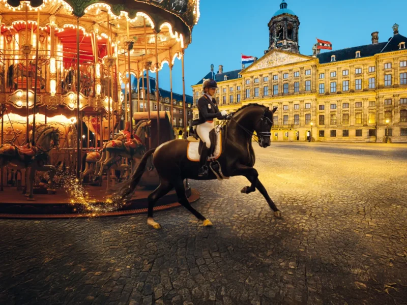 Jumping Amsterdam - Vererinair Sportpaarden Congres 2026