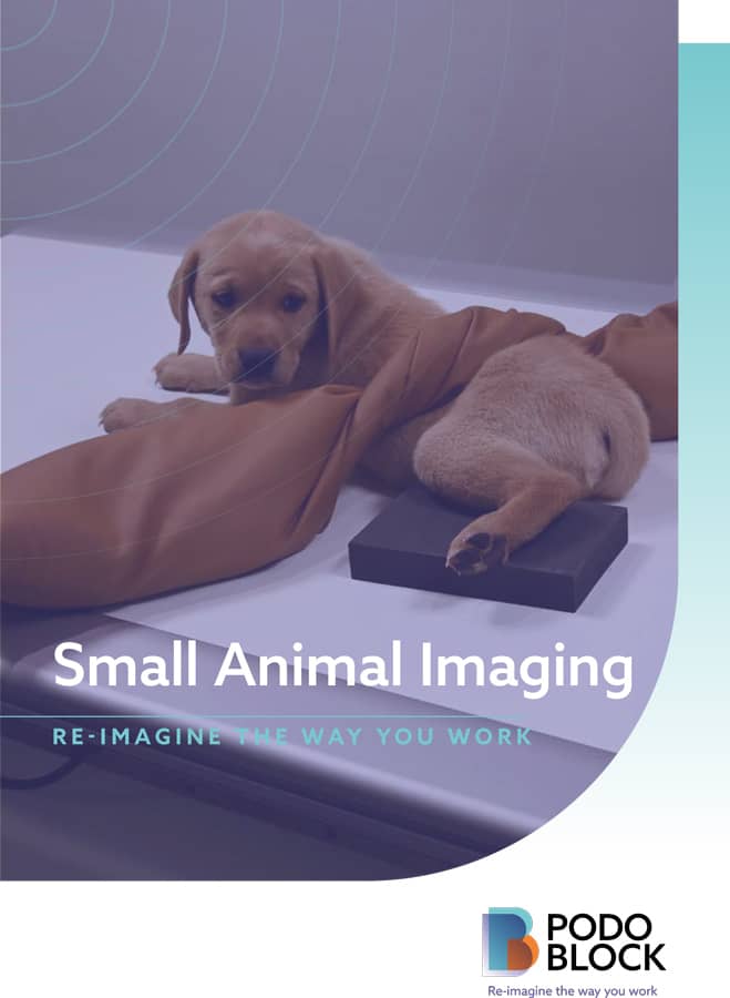 Small Animal Imaging