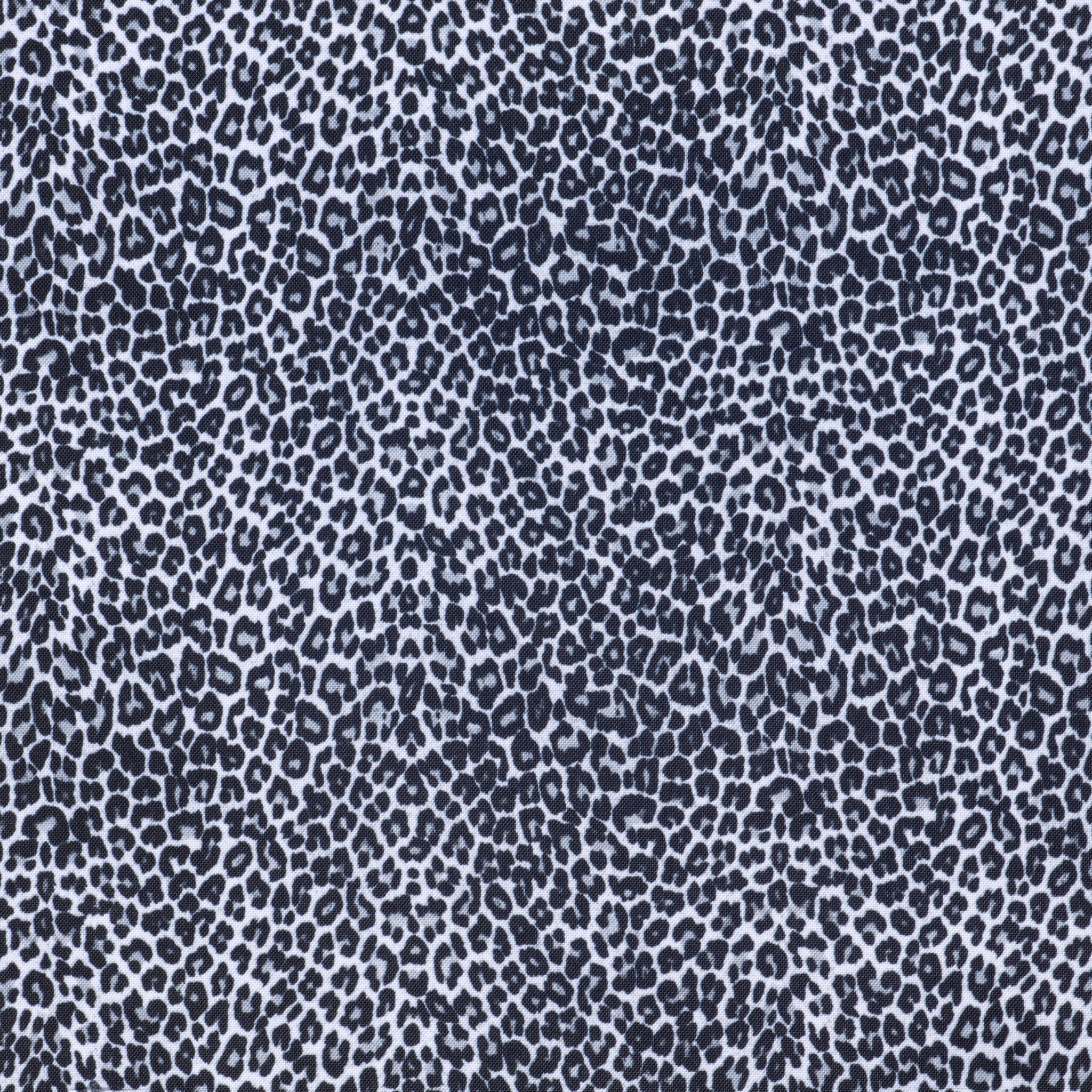 Kleurstaal-esiliina-10-Snow Panter