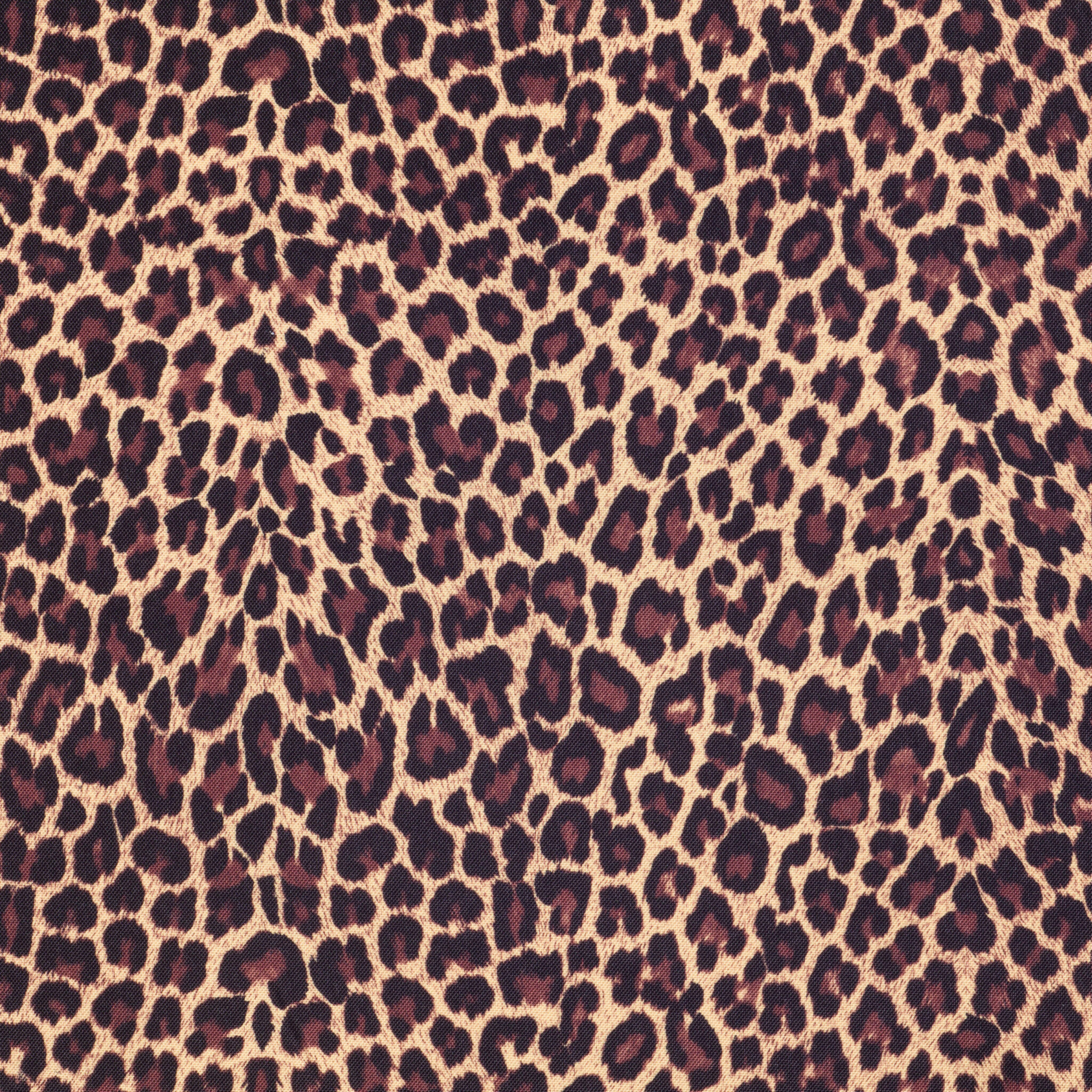 Kleurstaal-esiliina-11-Leopard