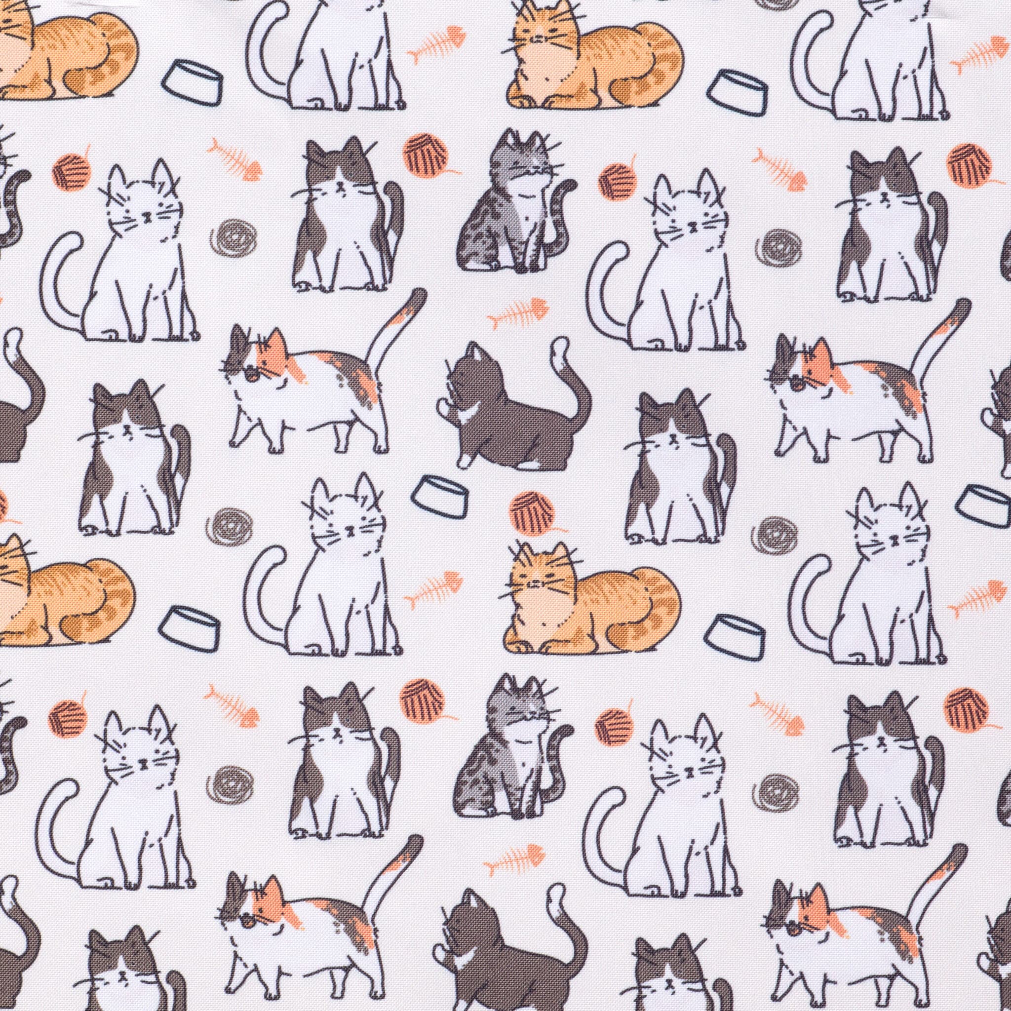 Kleurstaal-esiliina-13 – Crazy cats