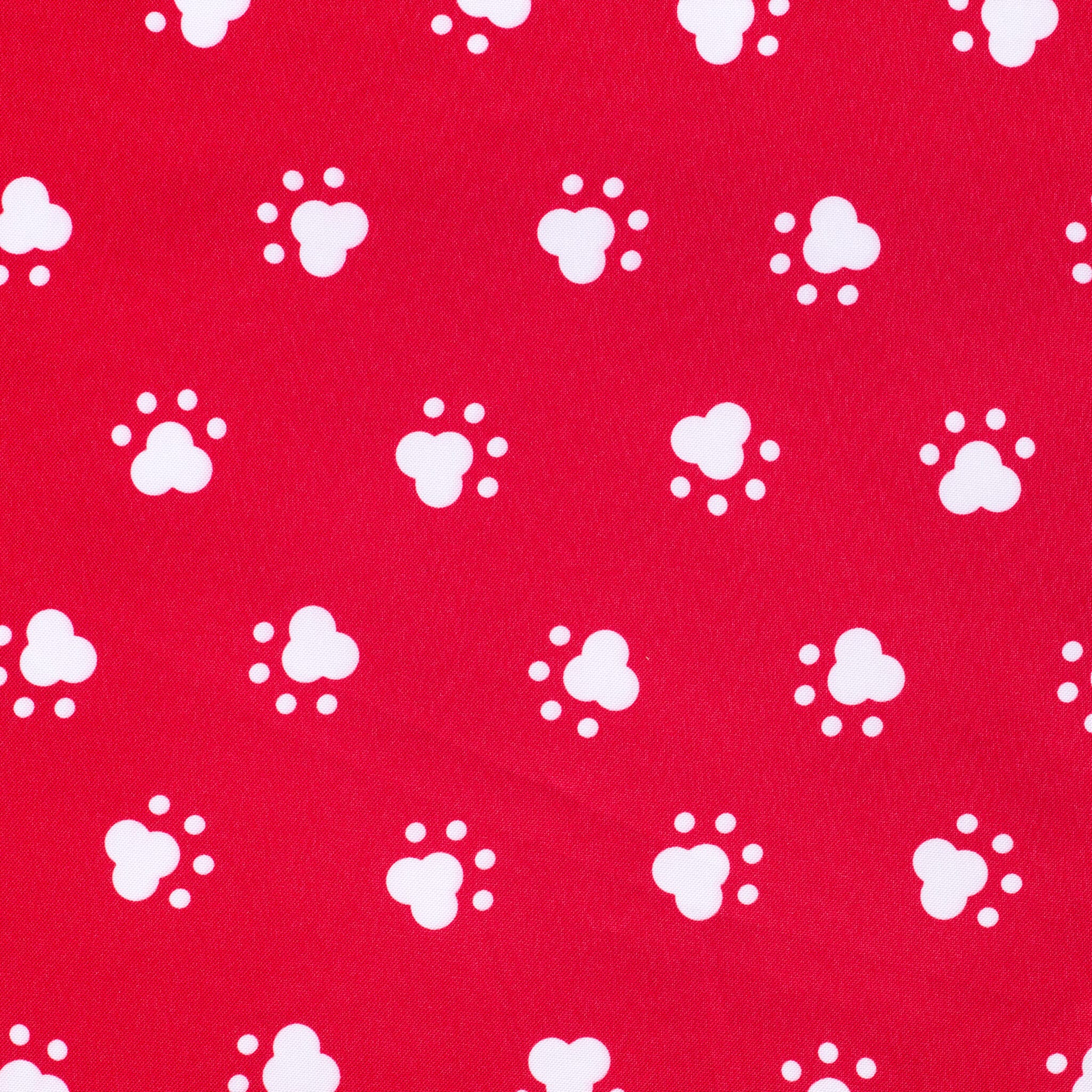 Kleurstaal-esiliina-19-Red Paws