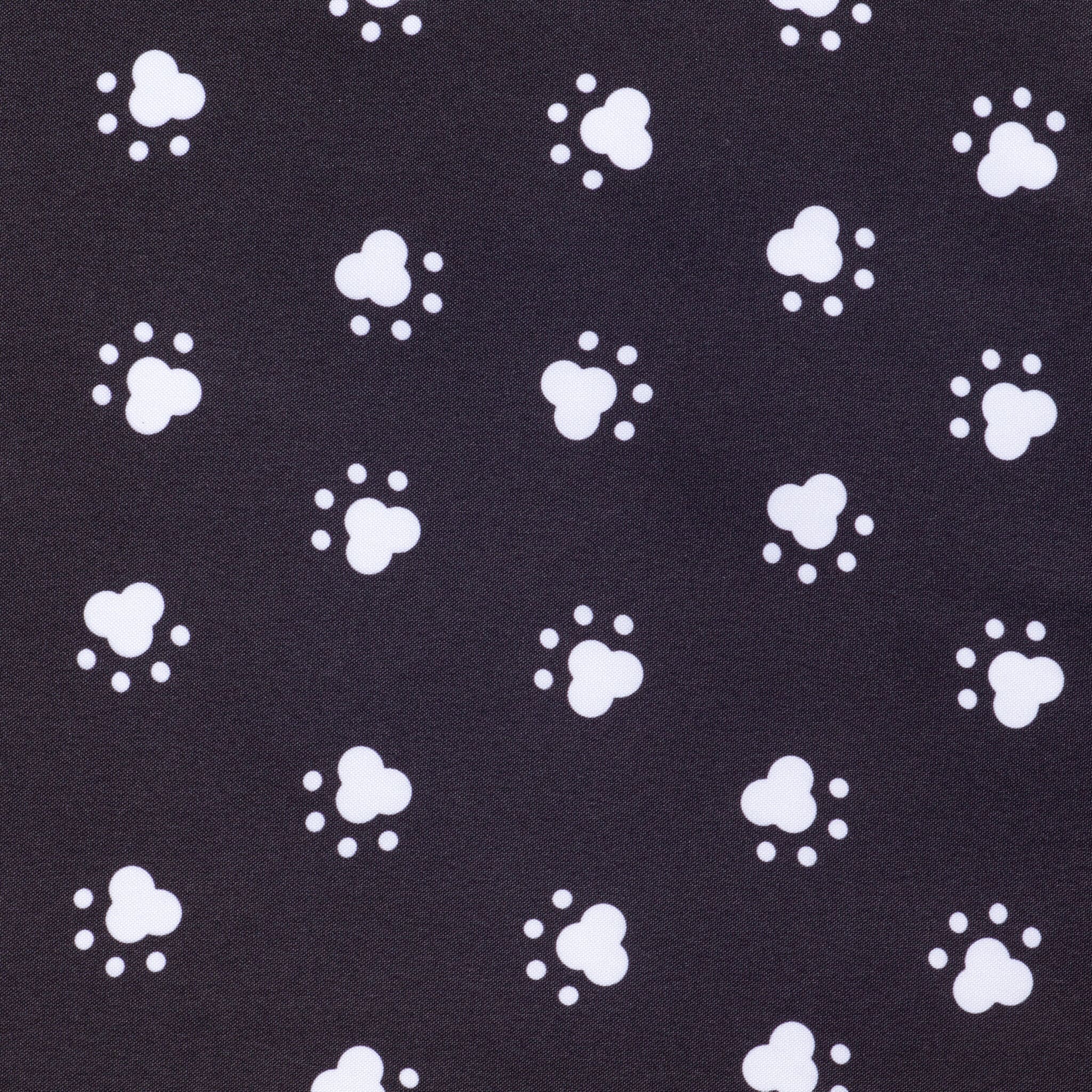 Kleurstaal-esiliina-8-Black Paws