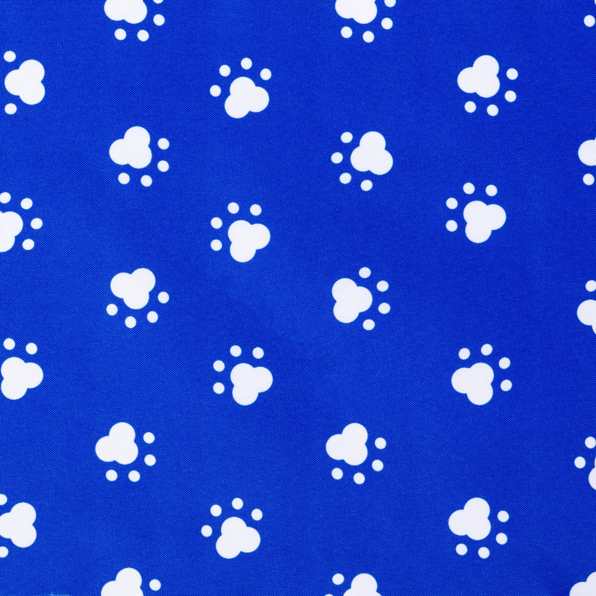 Kleurstaal-esiliina-9-Blue Paws